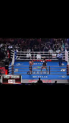 Canelo Alvarez Vs Terence Crawford 🔥 #terencecrawford #boxing🥊 #caneloalvarez #foryoupagе #fypツ 