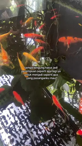 #fypp #fypage #xybca 