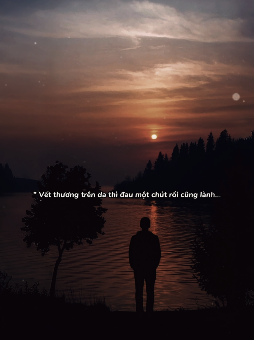 vết thương trên da thì đau một chút rồi cũng lành nhưng vết thương lòng thì... #canhdepthiennhien #canhdep #canhdepvungque #nhachay #tramcamxuc92 