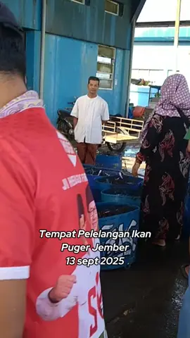 dar der dorrr #nelayanindonesia #nelayanpuger #jembertiktok #nelayantiktok #pugerjember 