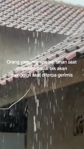 #sampitak #sampitaksaid #savewito #savewitocidro 