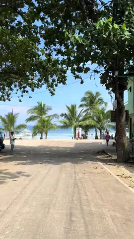 Amarela Bohol 😍❤️#fyppppppppppppppppppppppp #bohol #panglaobohol #beachday 