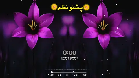 پشتو شایستہ نظم ❤️‍🩹🥀🪫  #viral_video #fybシviral #unfreezemyacount #🌸fayzenteam🌸 #تاجک__اوزبگ__پشتون__هزاره__ترکمن 🌼🥀