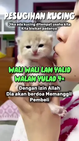 Pesugihan kucing  #cat #kucing #oyen #funny #lucu 