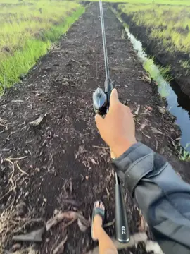 Gimana hari minggu kalian ketua apakah gacor #castingfishing🎣 