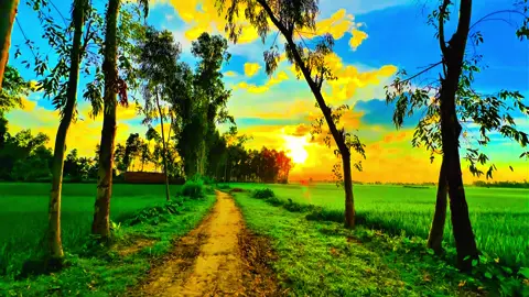 প্রানো পাখি উরে যাবে পিঞ্জরও ছিরে...... 🥹❤️‍🩹🌿#প্রকৃতি #anfeezemyaccont #viral_video_tiktok #greenscreen #sky 