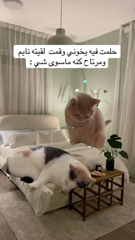 #Meme #MemeCut #fypシ 