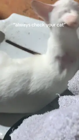 Sorry na. Di na magchecheck. 😾 P.S. The marker has no ink. #fyppppppppppppppppppppppp 