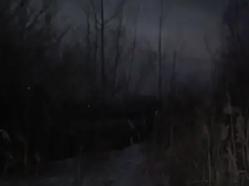 Fortuna 812 - Hollywood Highway  мэээээ.. #fup #shitpost #fortuna #рек #fupシ 