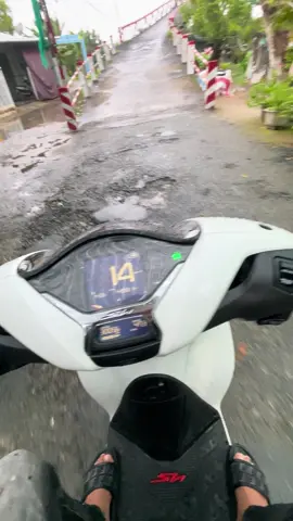 Đi coi lúa dô cây cầu đã quá đã :)))