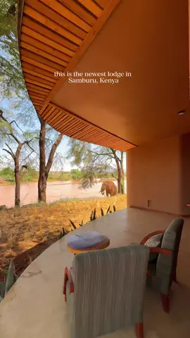 ✨ Samburu, Kenya 🇰🇪 has a new star ✨ This is the newest lodge in Samburu, and honestly, it’s pure magic. Save this one for when you’re ready to experience Kenya in a way that feels both wild and deeply soulful. 🇰🇪 The Samburu people, often called the butterfly people, bring colour to these lands with their vibrant dress and beaded adornments. Their culture, carried here for over 500 years, is at the very heart of Soroi Samburu Lodge. You feel it in the warmth of the team, the traditions woven into camp life, and in the way the wild landscape itself seems to tell their story. Wildlife wandering through camp, views that stretch forever, and a team that makes you feel instantly at home. This isn’t just a lodge, it’s a love letter to Samburu. #samburu Samburu lodge, Samburu camp, Samburu national park, Samburu national reserve, Kenya safari, safari camps in Kenya, safari lodges in Kenya, where next family Kenya