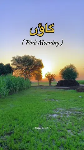 گاؤں  🌾❤️ #village #punjab #reel #status #pindawale 