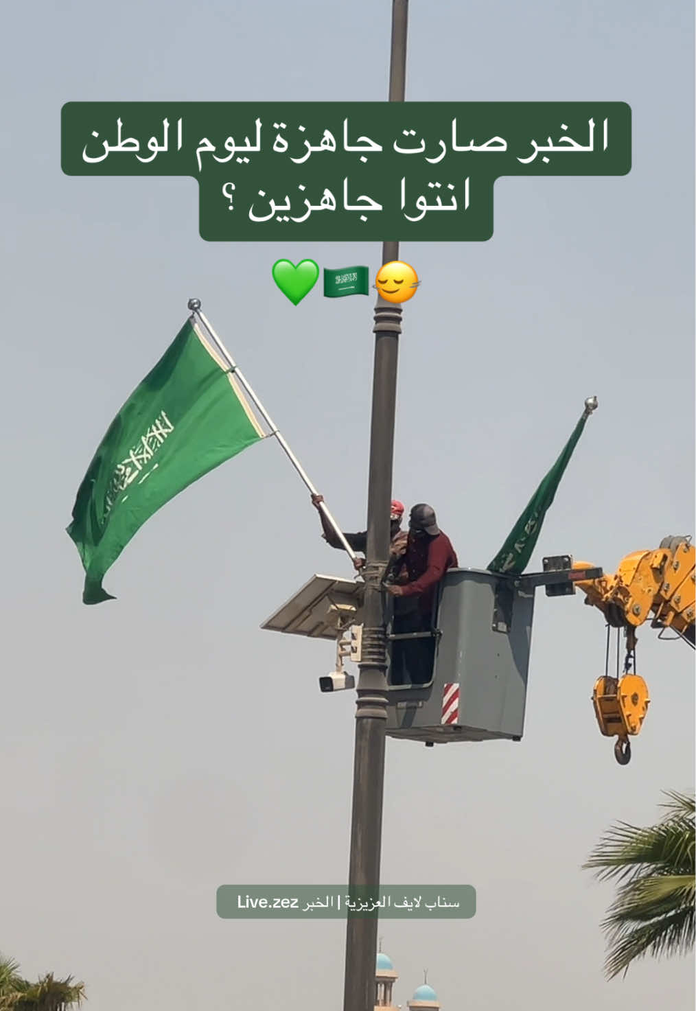 #لايف_العزيزية_الخبر #الخبر #alkhobar🇸🇦 #اليوم_الوطني #foryou 