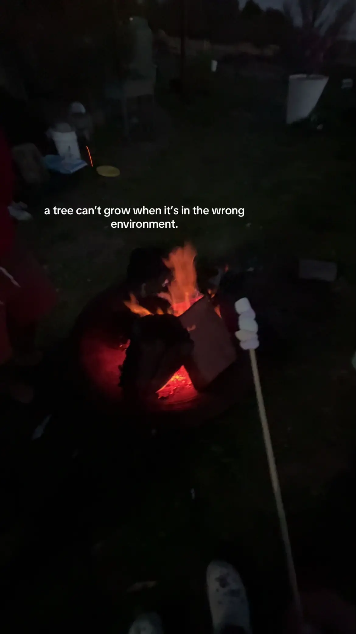 #perspective #trees #people #fyp #viral 