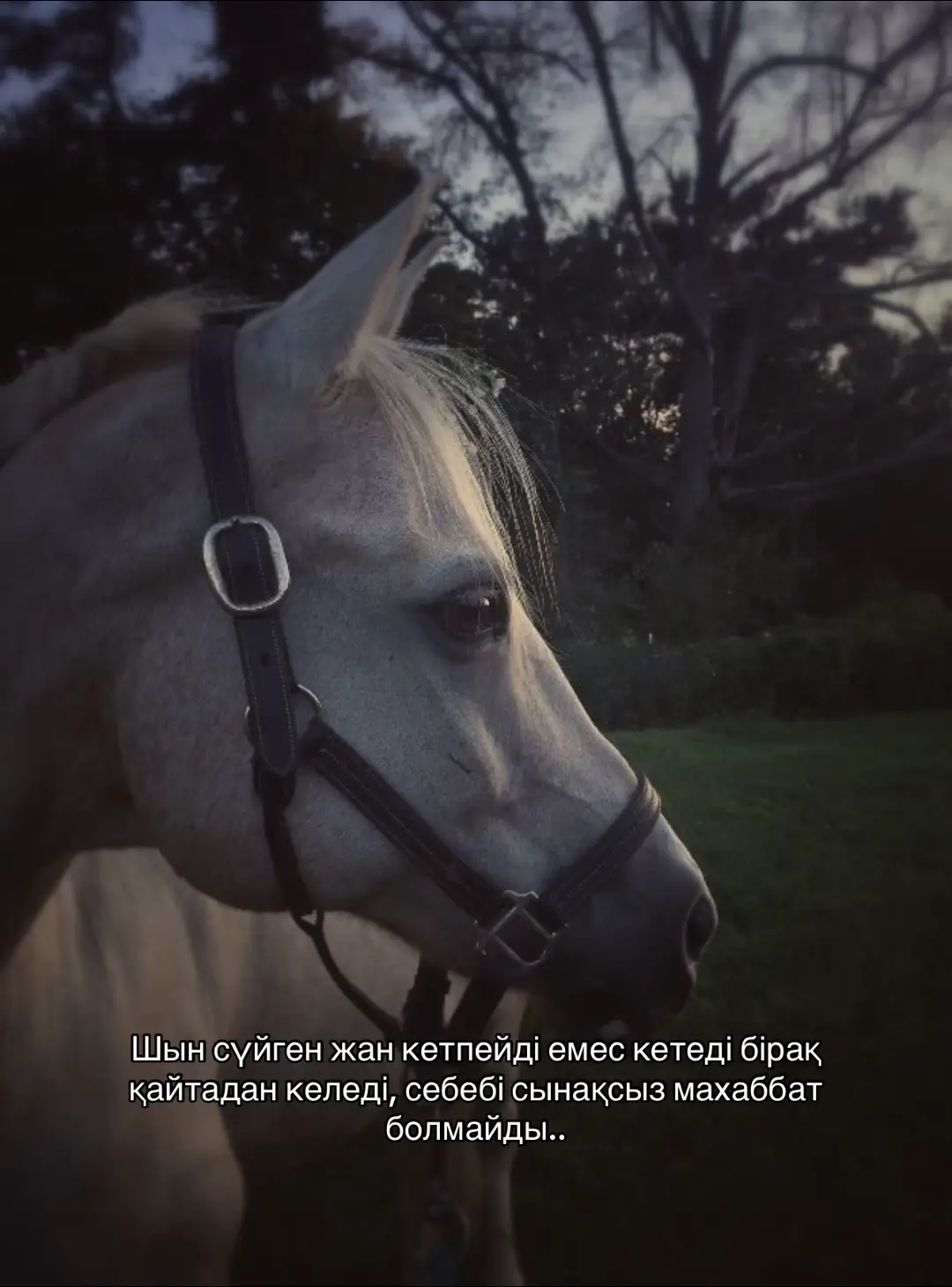 #fyp #rge #рекомендации❤️ 