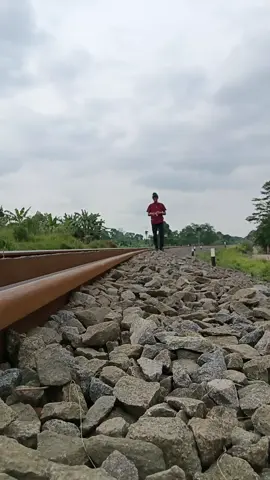tangkulak domba