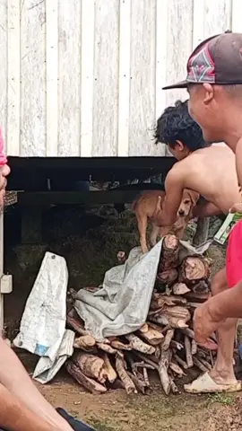 The sense power of smell 🤣🤣#comedyvideo #laughingjack 