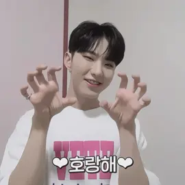 D-2 i need horanghae anytime😭                                          #hoshi #seventeen #viral #fyp 