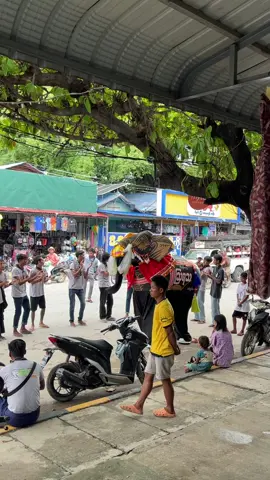 #ရိုးရာဆင်အကအလှ  #fypシ  #foryoupage  #tiktokmyanmar  #kyaukseelephantfestival 