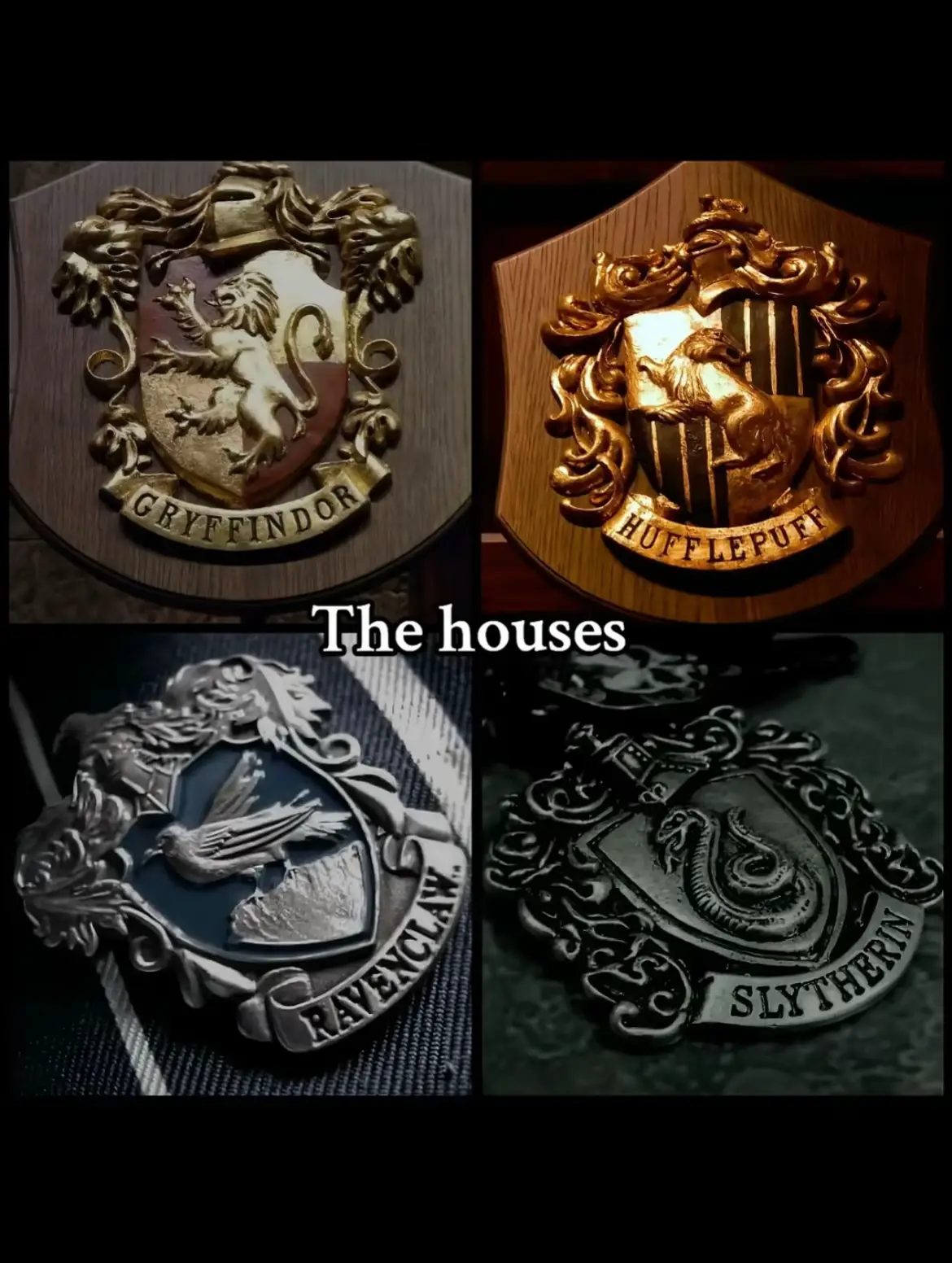 #hogwartshouses🦁🐍🦡🦅 #hogwarts #magic #fyp #harrypotter 