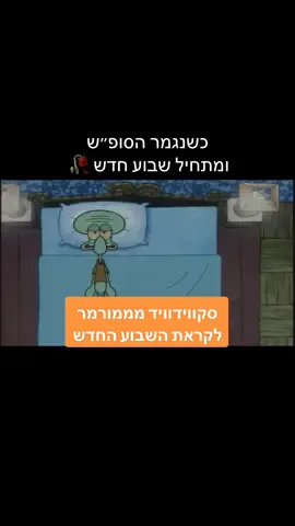 מה הפוב שלכם? 🦑 #spongebob 