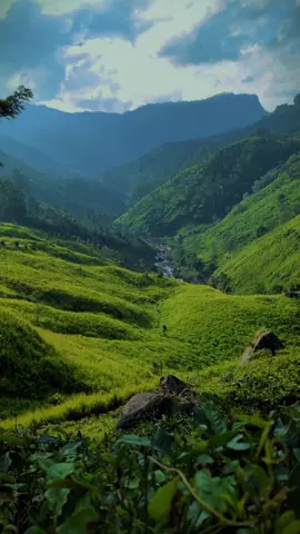 Thalawakele - Sri Lanka. #greenery #paradise #Hiking #valley #srilanka 
