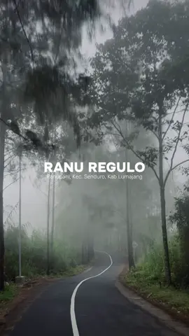 Ranu Regulo adalah danau cantik berwarna biru kehijauan di Taman Nasional Bromo Tengger Semeru (TNBTS), Lumajang, Jawa Timur. Terkenal dengan pemandangan alamnya yang sejuk dan tenang, cocok untuk berkemah dan berfoto. Danau ini dikelilingi perbukitan dan pepohonan hijau dengan suhu udara dingin, sering diselimuti kabut tipis di pagi hari #ranuregulo #bromotenggersemeru #explore #travel #malang