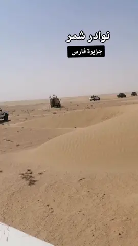 #نوادر #شمر #جزيرة #فارس 