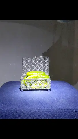 #missionimpossible #tiktokanimals #guineapigs #приколысживотными #смішнітварини 