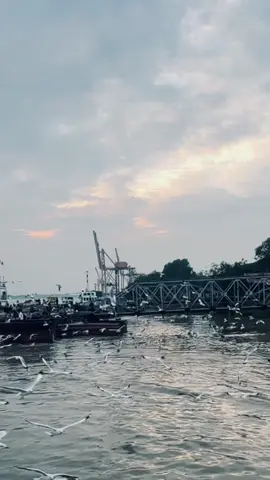 ဘဝမှာ မင်းရှိခဲ့ဖူးကြောင်း အထောက်အထား ဆိုလို့ ပုံပျက်ပန်းပျက်ဖြစ်သွားတဲ့ ငါကိုယ်တိုင်ပဲ  ကျန်တော့တယ် ။       - ဆပ်ရိပ် #Myanmar #ဗိုလ်တထောင် #မလိုတော့ဘူး #raymond 