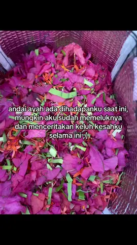 #ayah #kangenayah #fypシ゚ #fypシ゚ #xybca 