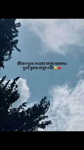 জীবনে দুঃখ দেওয়ার মানুষ থাকলেও দুঃখ বুঝার মানুষ নেই!😅❤️‍🩹 #1967entertainment #tik_tok #tiktok #foryou 