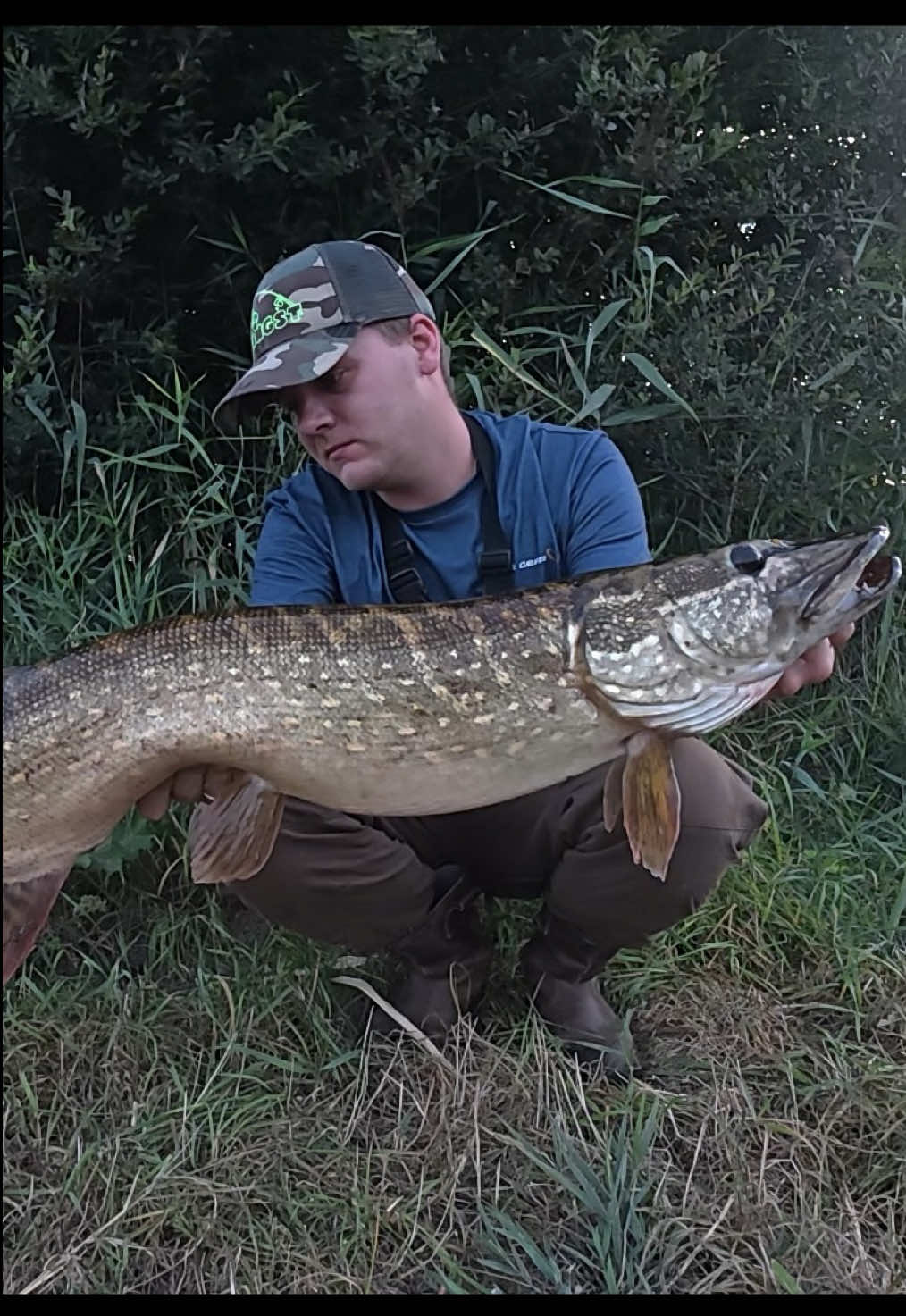 During an evening of fishing with the line thru trout from @Savage Gear Official , this pike took the lure right in front of my feet🐊 - - - #pike #pikefishing #fishingtiktoks #catchandrelease #savagegear 