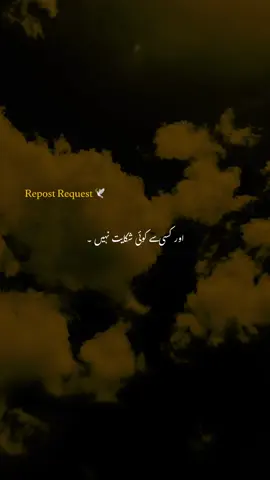 Or kisi sai koi shikayat nahi 😔❤️‍🩹#fyp #1millionaudition #trendingvideos #aesthetic #poetrystatus 