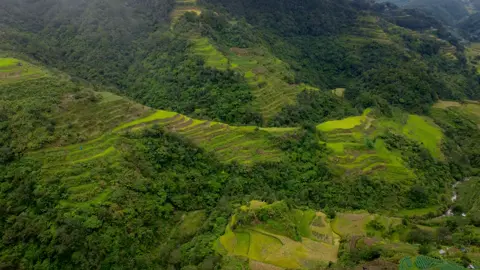 Banaue rice terraces ✨ #fyp #fyppppppppppppppppppppppp #mountains #foryoupage #Outdoors 