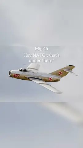 Mig-15 NATO nickname 💀  #aviation #planespotting #plane #mig15 #nato 