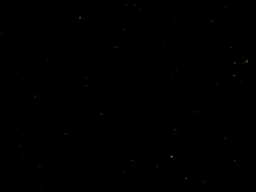 بسم الله ✨❤️‍🩹#capcut #capcuf #fyp #ابا_الفضل_العباس #قمر_بني_هاشم 