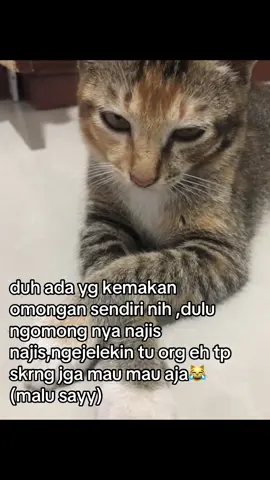 #fypシ゚ #masukberandafypシ #katakata 