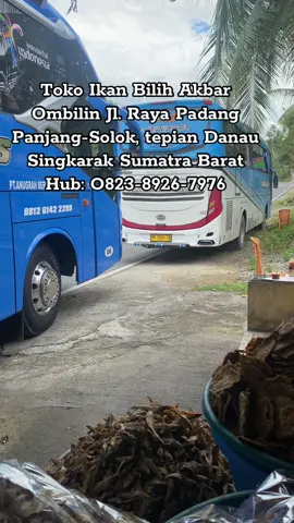 Lokasi 2km dari dari Pasar Ombilin arah ke Padang Panjang, lewat dari mesjid takwa Ombilin atau tepat nya di depan SDN 27 Ombilin Simawang kec. Rambatan Kab. Tanah Datar Sumatra barat (Ada di Gege memep) #ikanbilih #danausingkarak #makanankhas #sumaterabarat #fypシ゚ 
