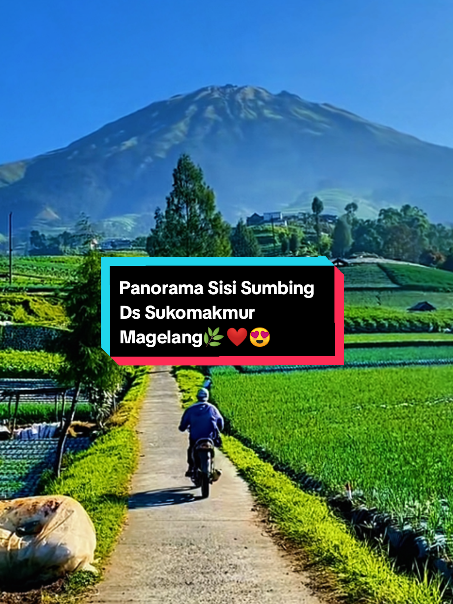 Keindahan panorama sisi gunung sumbing magelang jateng🌿❤😍#sisisumbing #gunungsumbing #magelangexplore #lagujawa #padahariini 