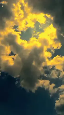 الحب الحقيقي هو الحب الذي يقربنا من الله 
