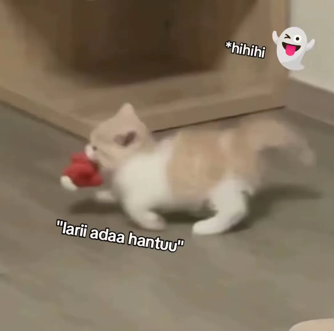 Tag doi kalian 🤭 #may #fyp #viral #lewatberanda #trending 