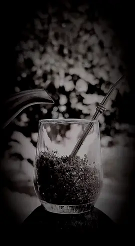 #ترند خسارة كيف سويتها فيني#سوريا #متابعه #العراق #السعودية 