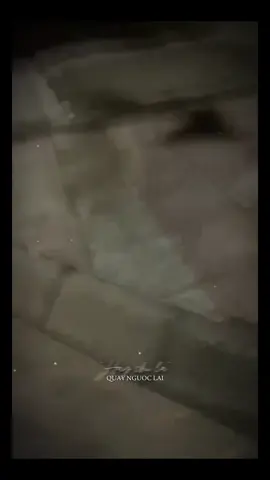 gây án rồi chạy án😝 