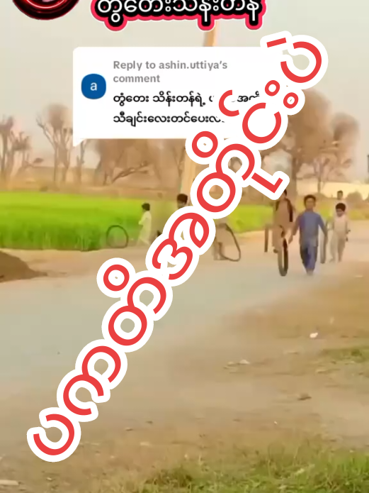 Replying to @ashin.uttiya ပကတိအတိုင်းပဲ#တွံတေးသိန်းတန် #foryoupage #မြန်မာသံစဉ်မြတ်နိုးသူ💞💕 @Htin Shar Aung @Thandar aung @Junior @luead5 