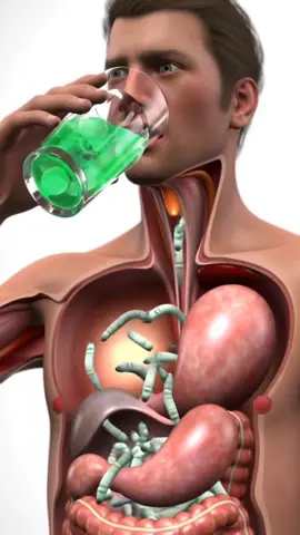 What Happens Inside Your Body When You Drink Soft Drinks 🥤  NSAFK 3D