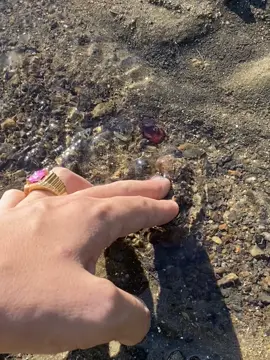 Trời mua ra suối nhặt thấy 1 viên đá quý