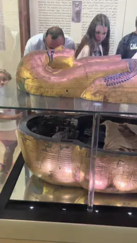 The Cairo museum has mummies that are over 5,000 years old. The museum has about 120,000 exhibits.     #egypt🇪🇬 #egypt #cairo #mummy #cairomuseum #museum #artifact #hatshepsut #sfinks #египет #каир #музей #сфинкс 