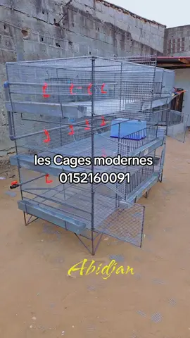 #livehighlights #ElevagePoulet #élevage #cotedivoire🇨🇮 #cagepouletchair 