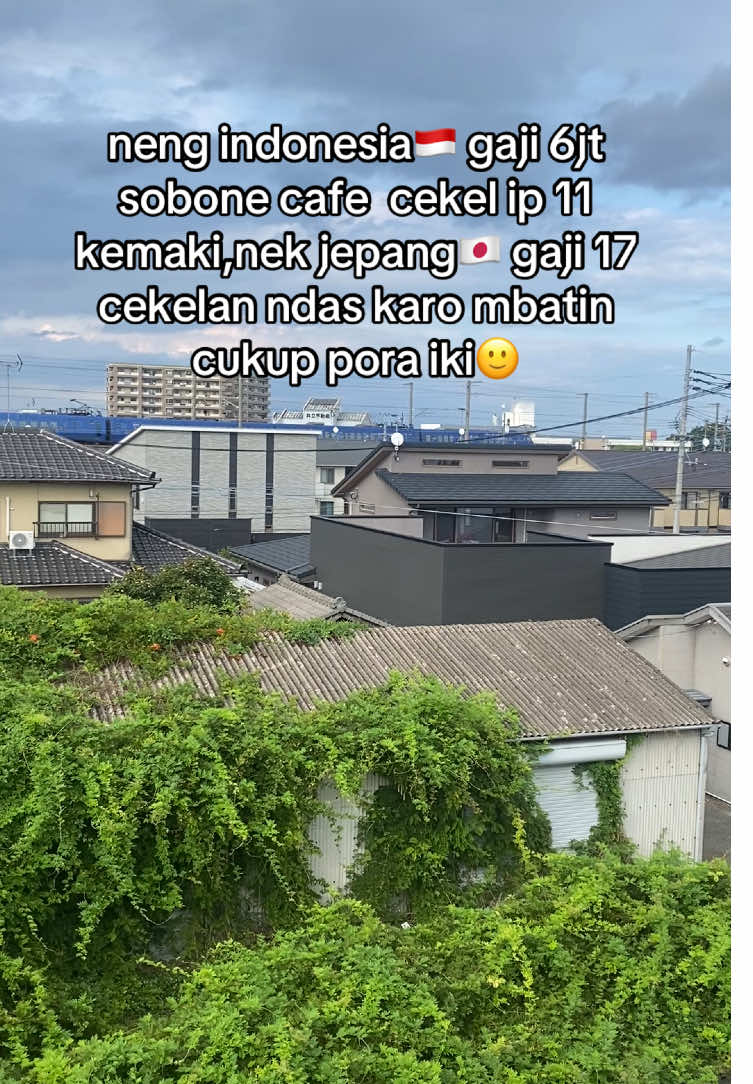 keluh kesahmu pai?#jepang #japanindonesia🇯🇵🇮🇩 #gajian #fyp #中務裕太 
